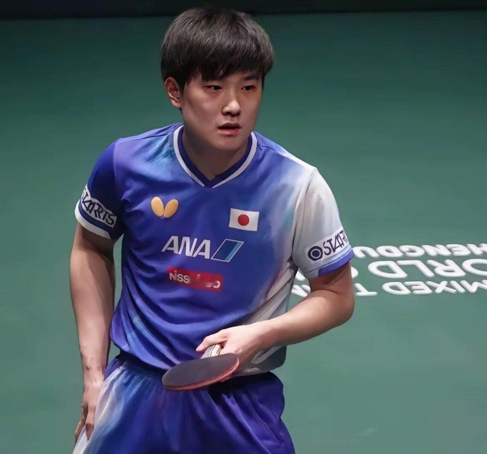 我敢断定！张本智和今年一定火！不是球技有多厉害，而是他成为了今年最最最倒霉的选手