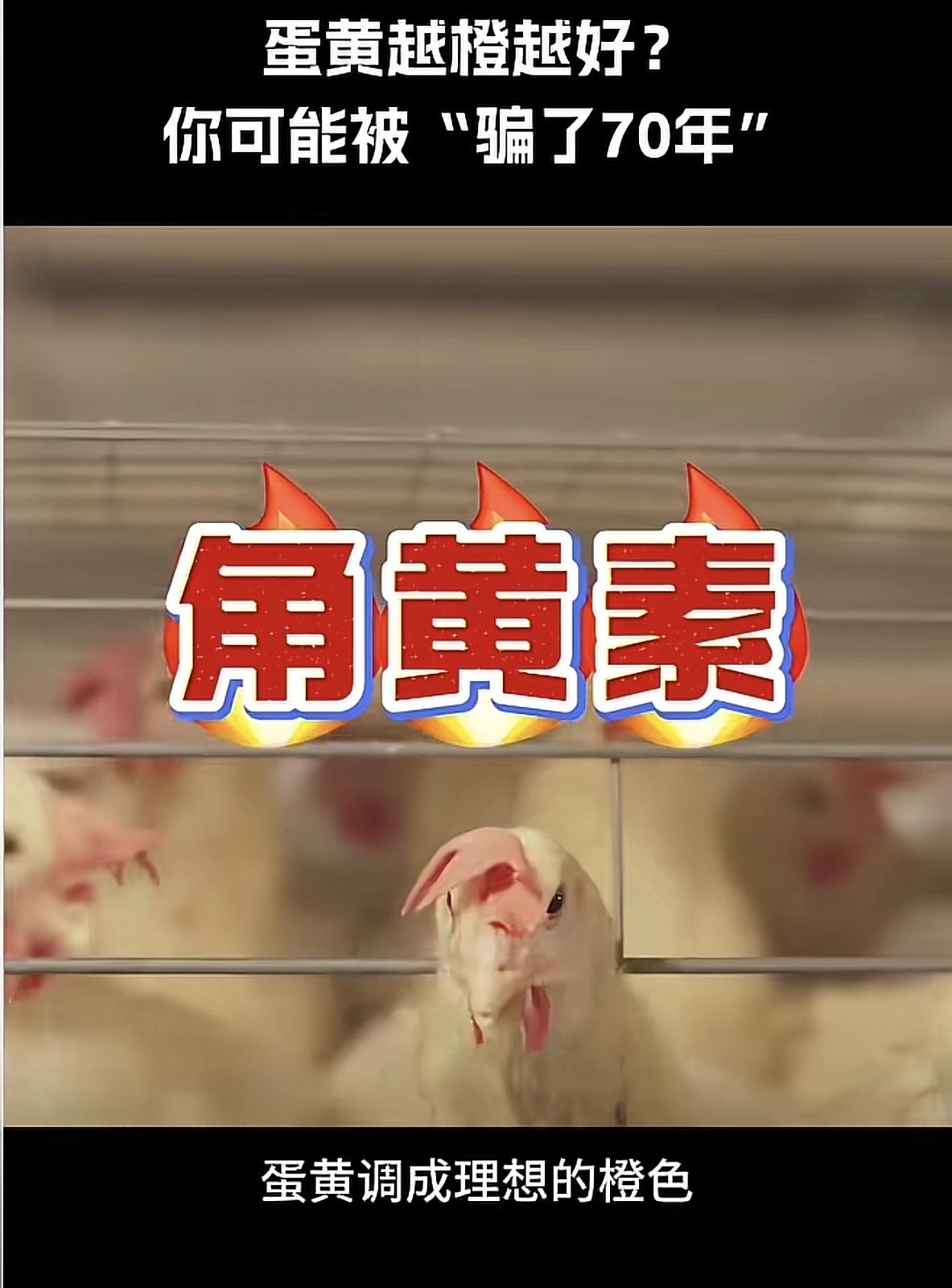 很多人都觉得鸡蛋的蛋黄越沉，就是代表鸡蛋营养价值越高。代表这个鸡蛋越好。但实际上