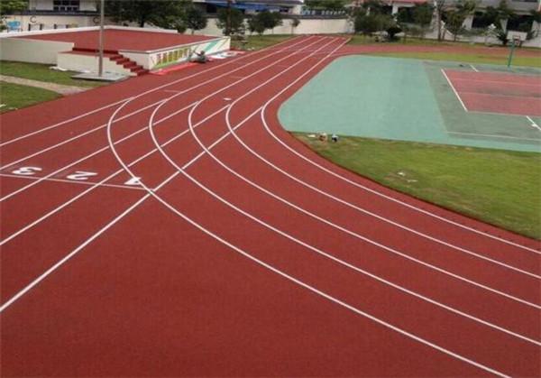 福建要申办2029年第16届全运会啦，这消息太让人兴奋！福建体育氛围一直很浓厚，