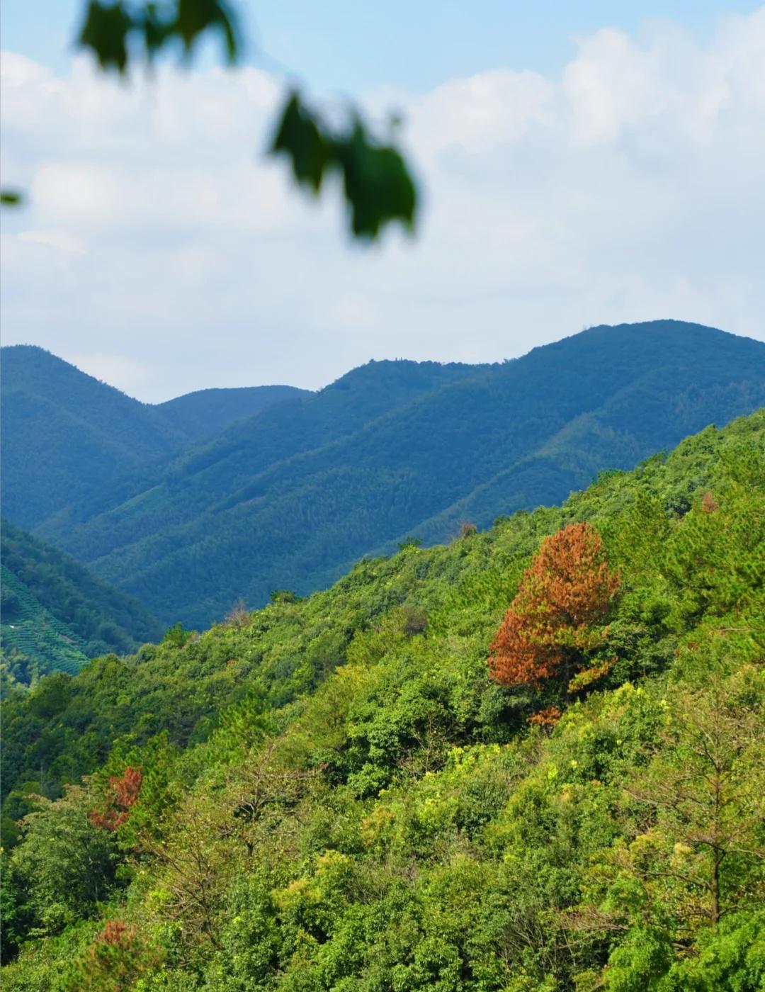 在长兴‼️我找到了一个适合徒步的路线‼️寺庙旅行本地人才知道的小众景色避开