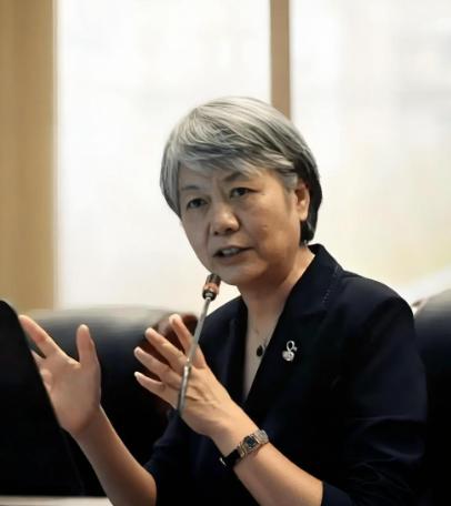 “不能判刑，那就实行最高额罚款！”中国人民公安大学李玫瑾教授曾经说过一句话，直接