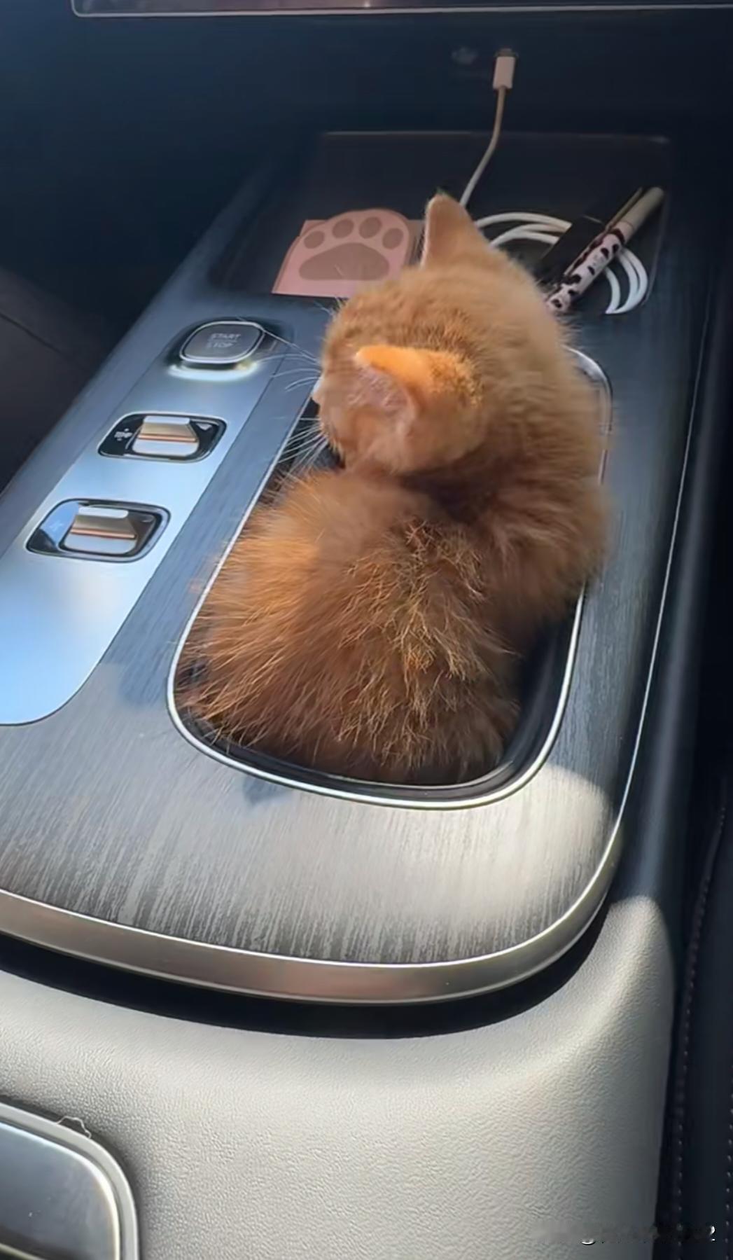 把混动车换成纯电车后才发现被骗了。把混动车换成纯电车，才发现，有些事只有亲身