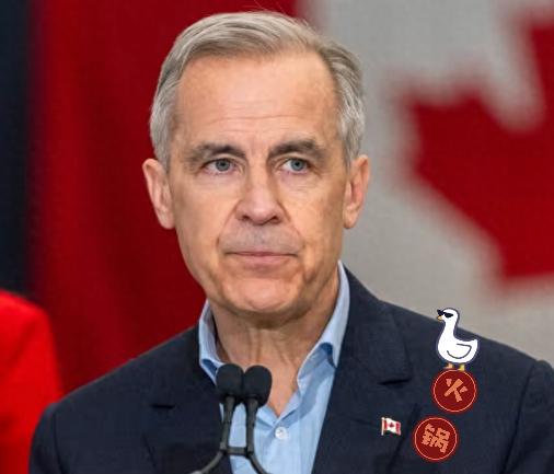 最新消息！加拿大总理宣布11月14日，加拿大总理卡尼宣布美国现下的关税政策，