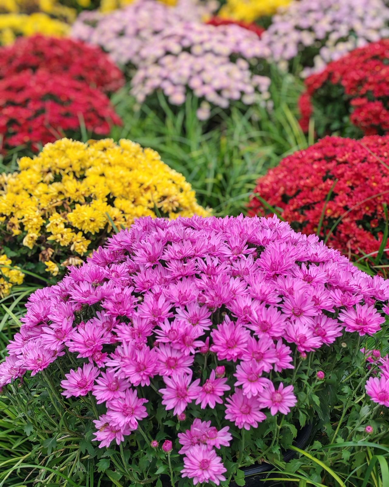 人到中年，听到的最多的一句话，就是要换一种活法！但是，究竟是怎么一种活法，没