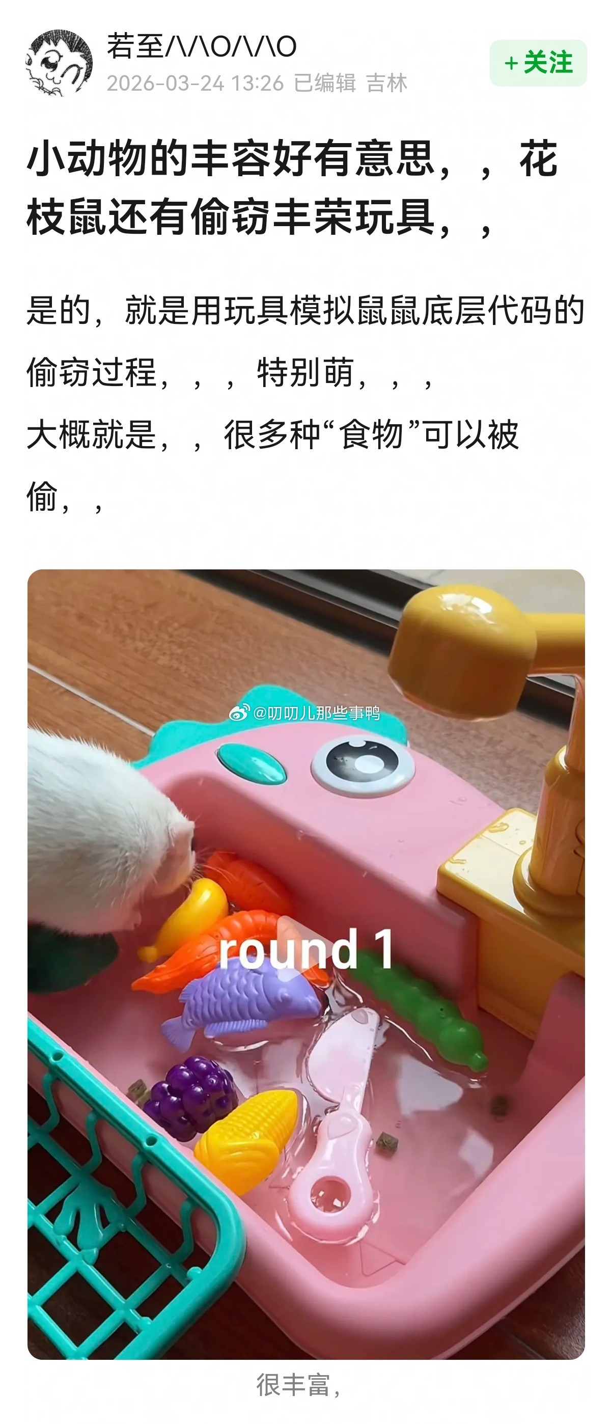 花枝鼠好萌～🐭🐭