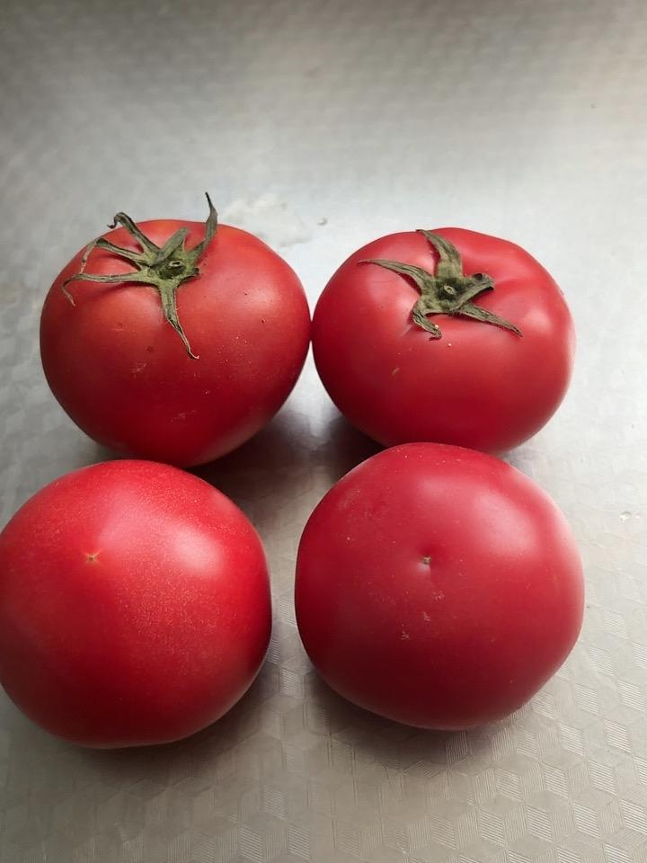 因为我血糖高，所以喜欢拿西红柿🍅当水果吃买西红柿🍅，觉得普罗旺斯西红柿最好