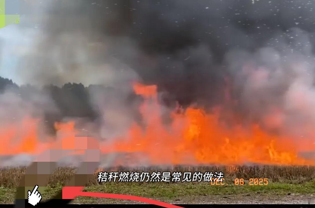 这是闹哪样？秸秆又能烧了？北京师范大学的一项研究表明，小麦秸秆燃烧过程中形成的