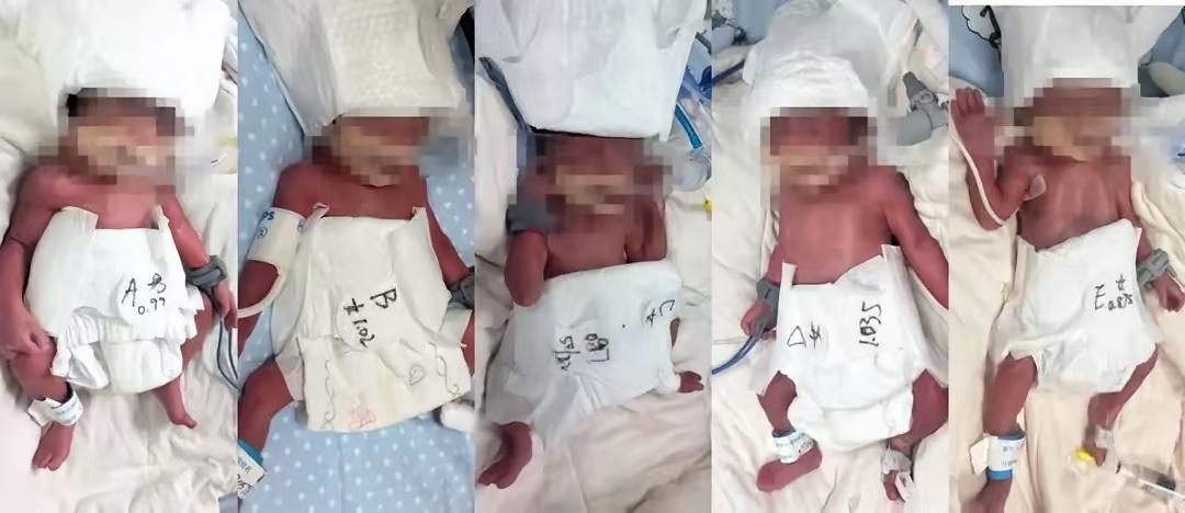 这才生了几天啊，五胞胎爸爸就开播了，直播间在线直冲8000多人！五个宝宝还在