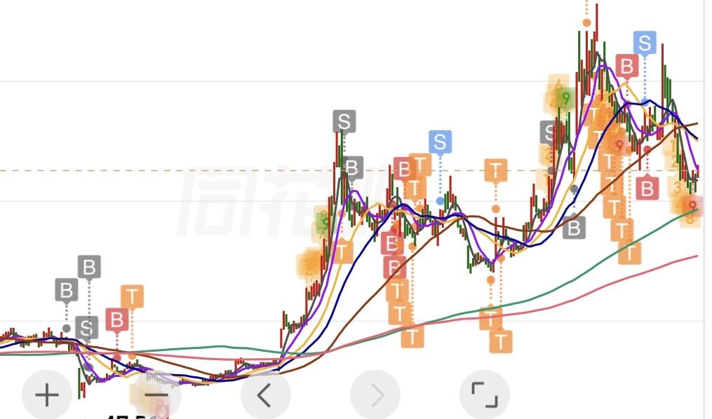 （4月10日下午）别的题材我换了又换，唯有光伏和植物人我拿了好几年了。从它