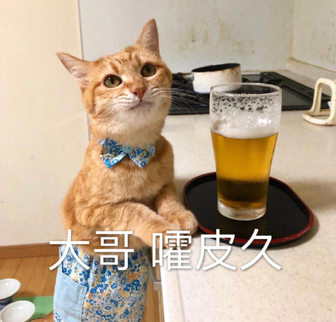 【麦界双雄的碳水博弈：凭什么它能做面包，而我就只能酿啤酒？】同样是麦，小麦成了面