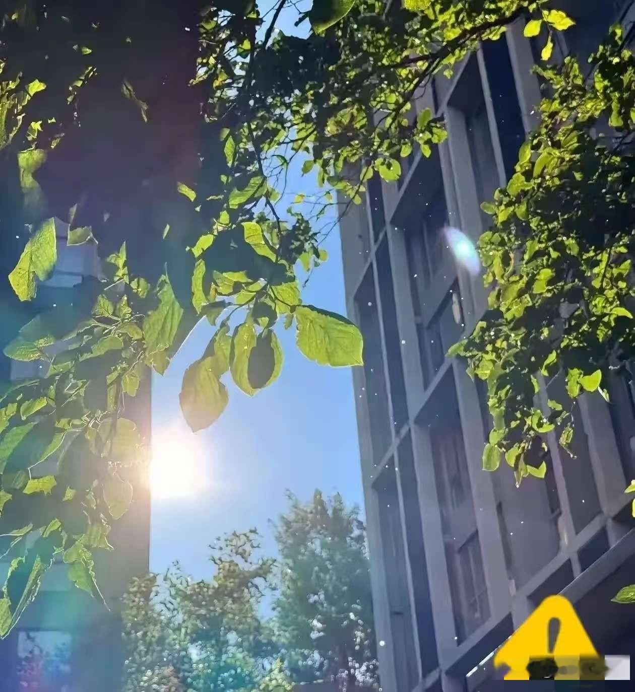 通知大家。大家要做好准备。还有12天，也就是8月14日就正式入末伏了。末伏跟