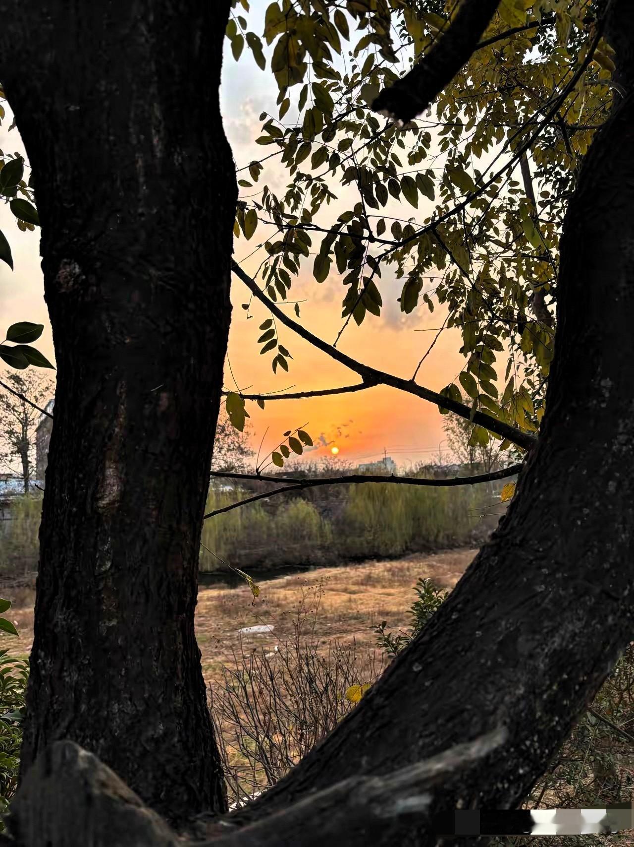 本以为有421通报和官宣撑腰，告个东篱就能堵住质疑的嘴，没想到反被人家反手起诉，