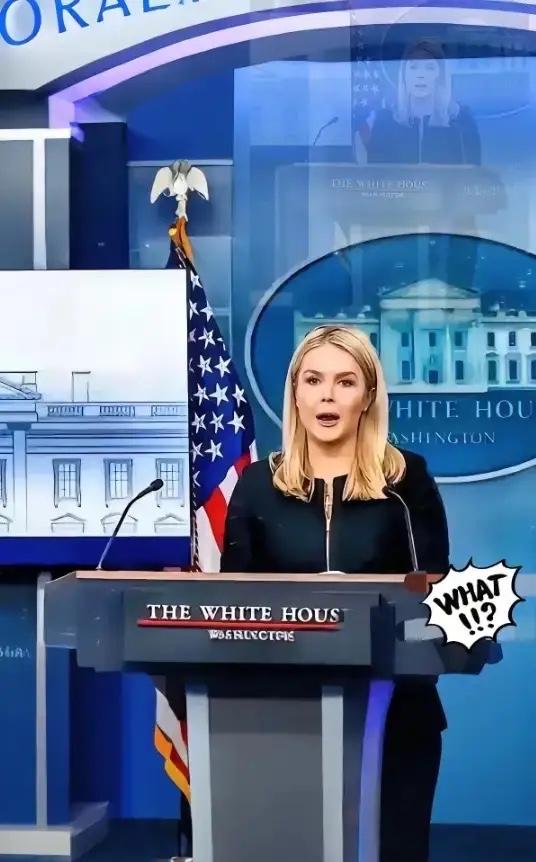 美国被中国再度拒绝了，美国官员很沮丧。“中国不想跟我们合作了，中国想要实现半