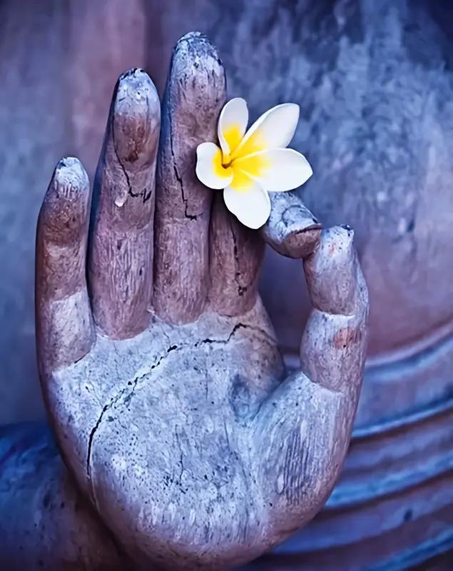 说一个最近最大的感悟：不要随意介入他人的因果。这个话我最早一次提起，是两个月