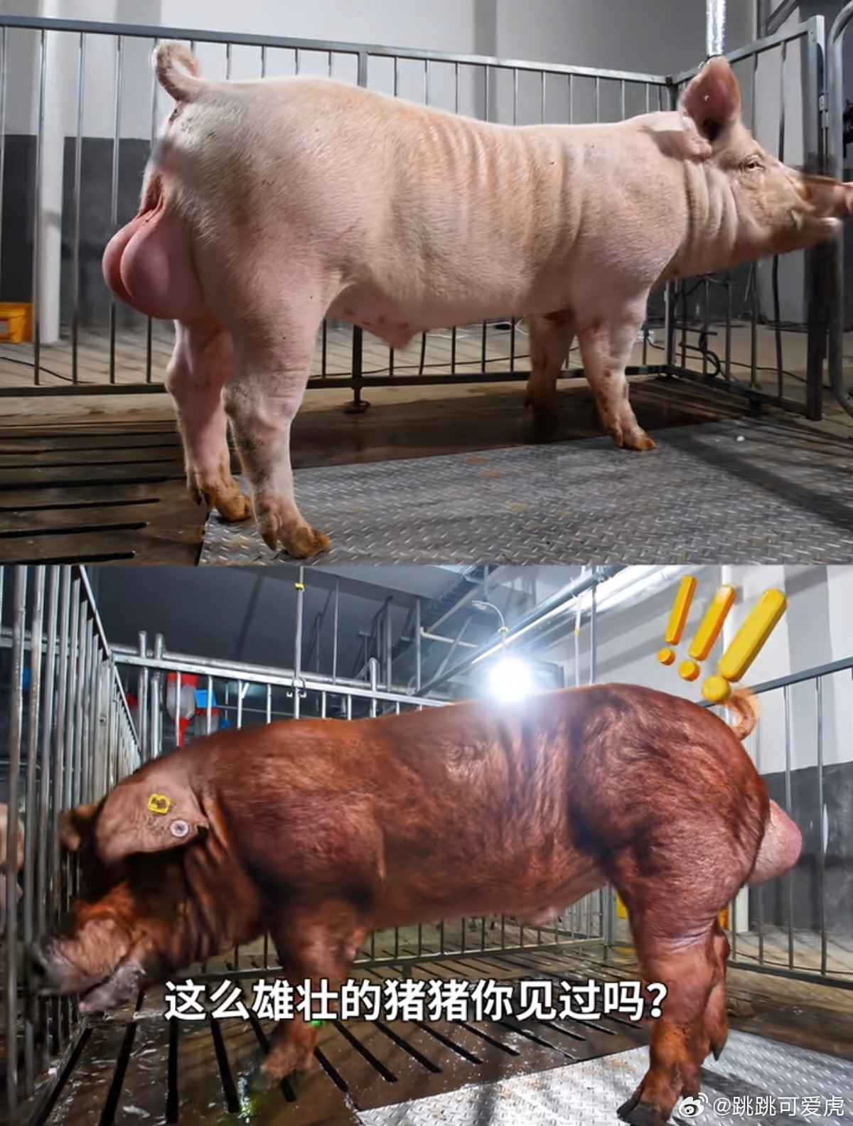 抄送