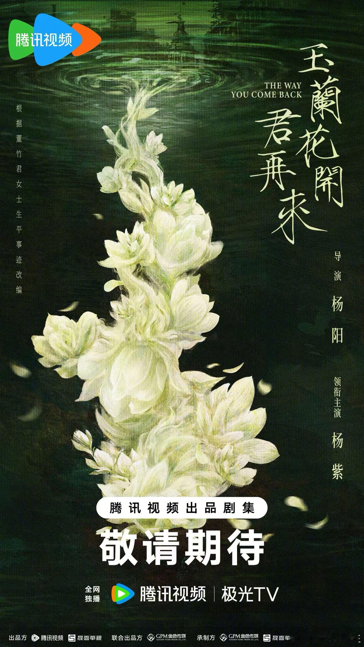 杨紫现在的电视剧资源，在女演员里真是第一档。从题材到班底，都是顶级配置了，如今这