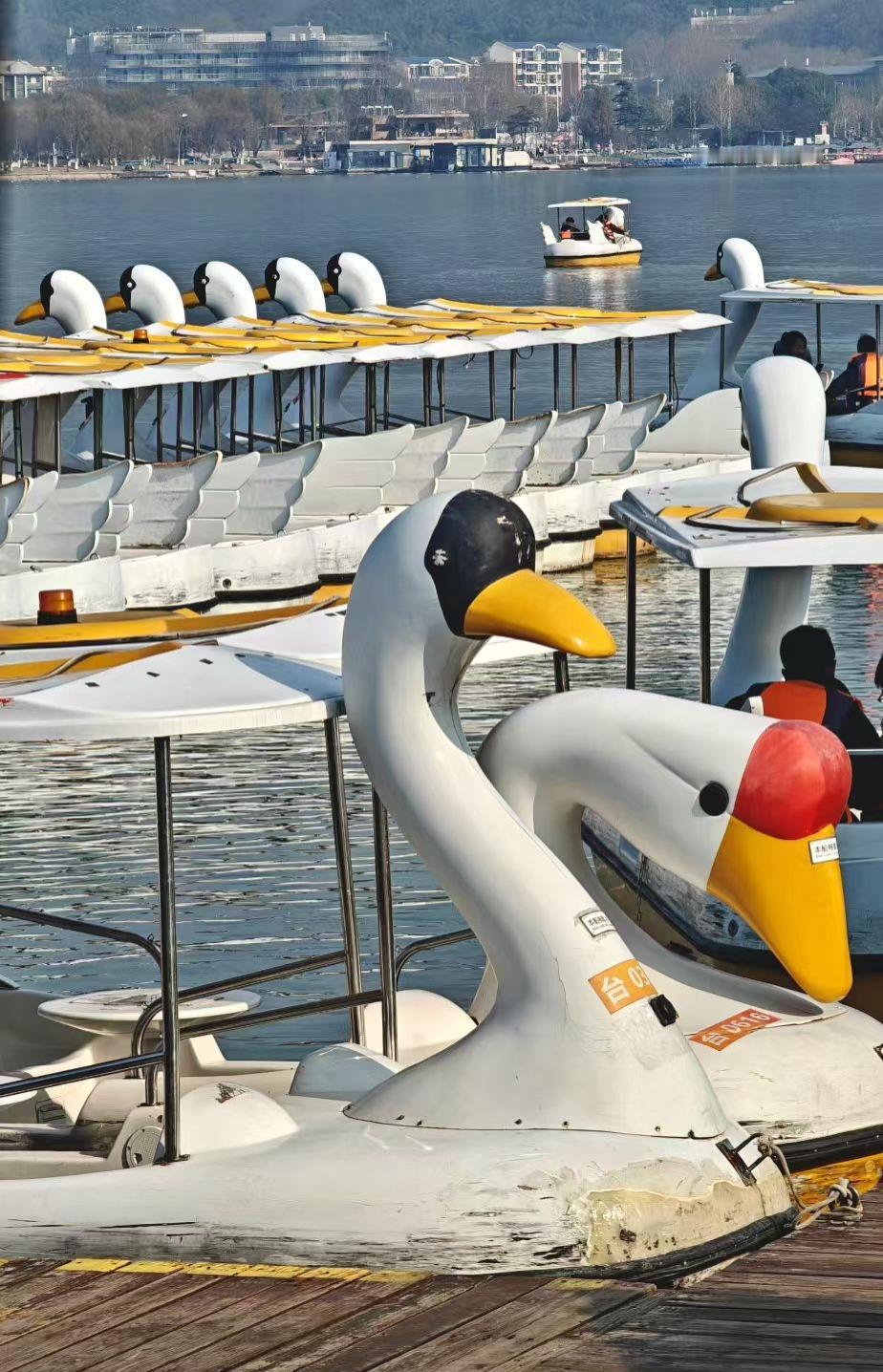 路过的是风景，留下的才是人生前阵子跟朋友去旅行，一路拍了好多照片，山川湖海