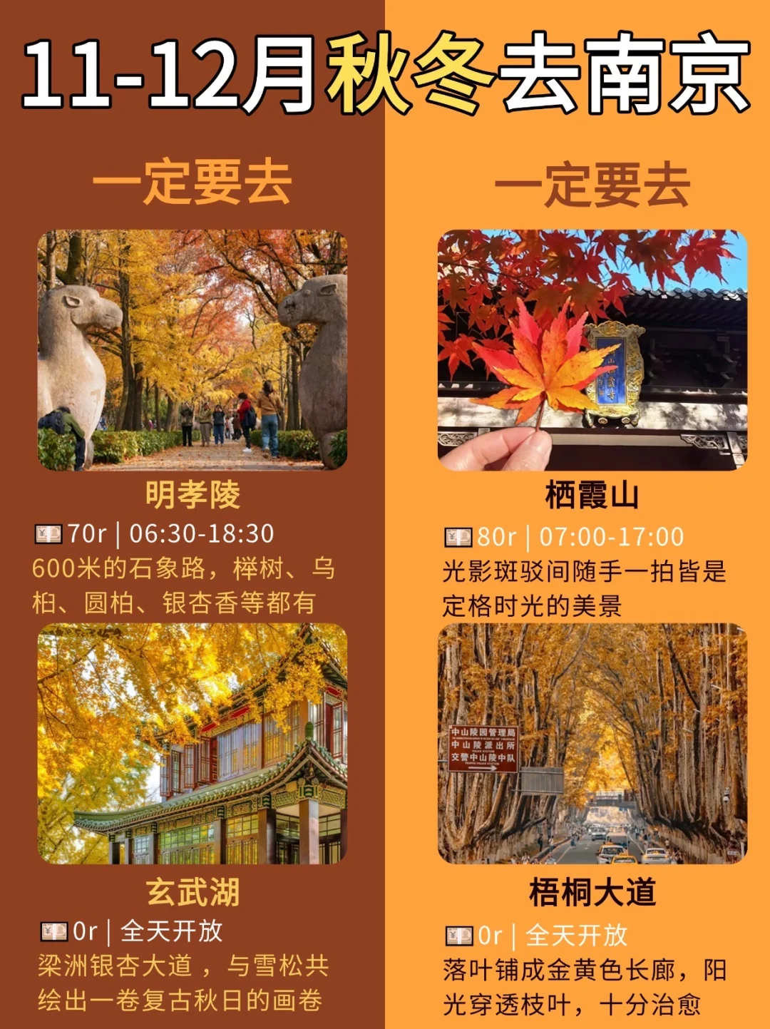 11-12月秋冬来南京一定要去🆚考虑去