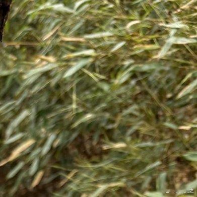 这样的环保标语牌，你怎么看😅