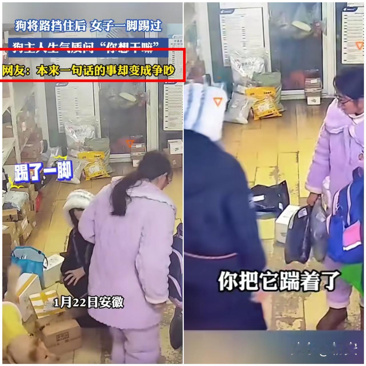 只因小狗趴在脚边挡了路，睡衣女子竟直接抬脚踹开，随后和狗主人爆发争执，这件事在网