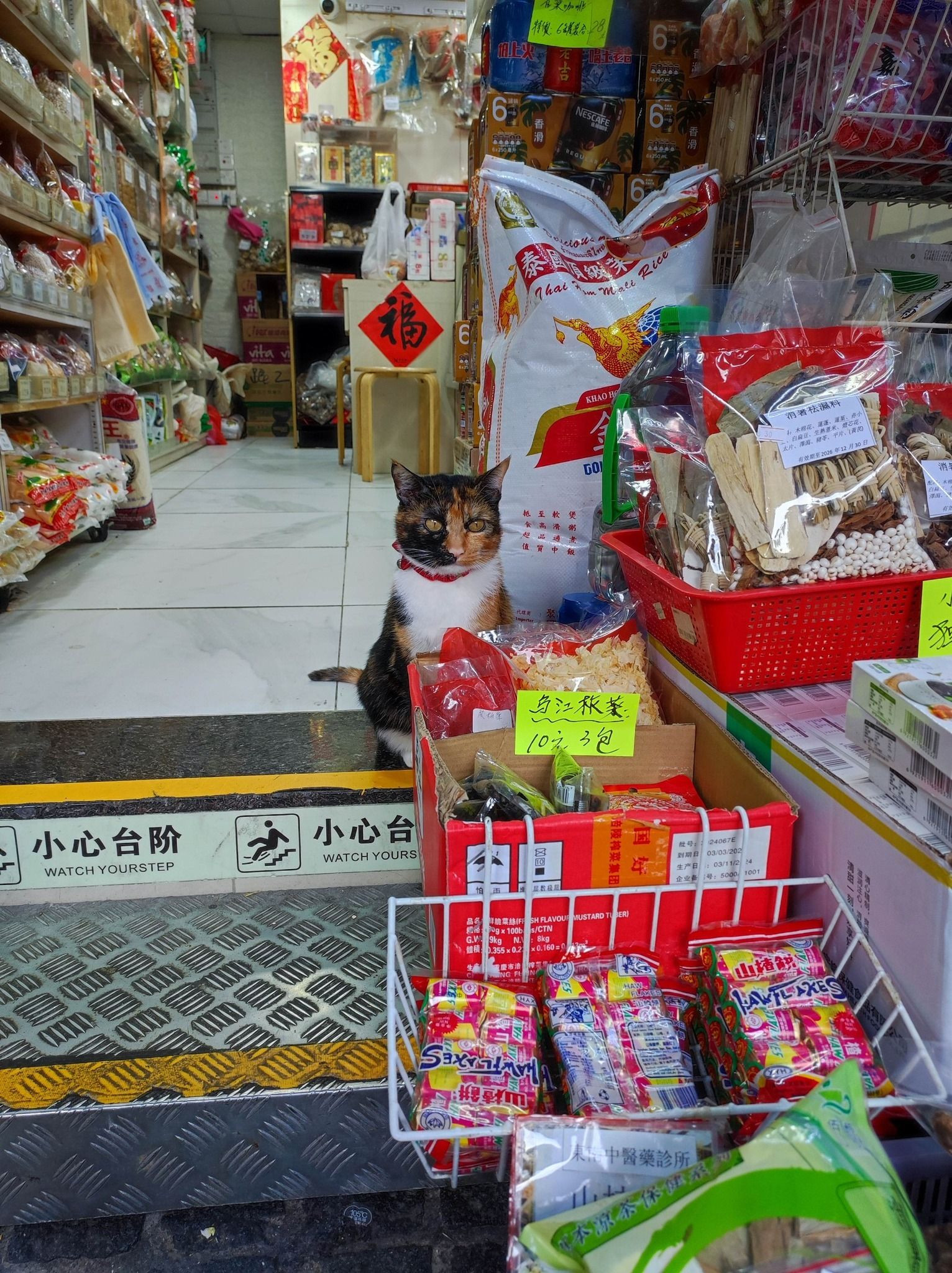 老板，菇子怎么卖呀​​​