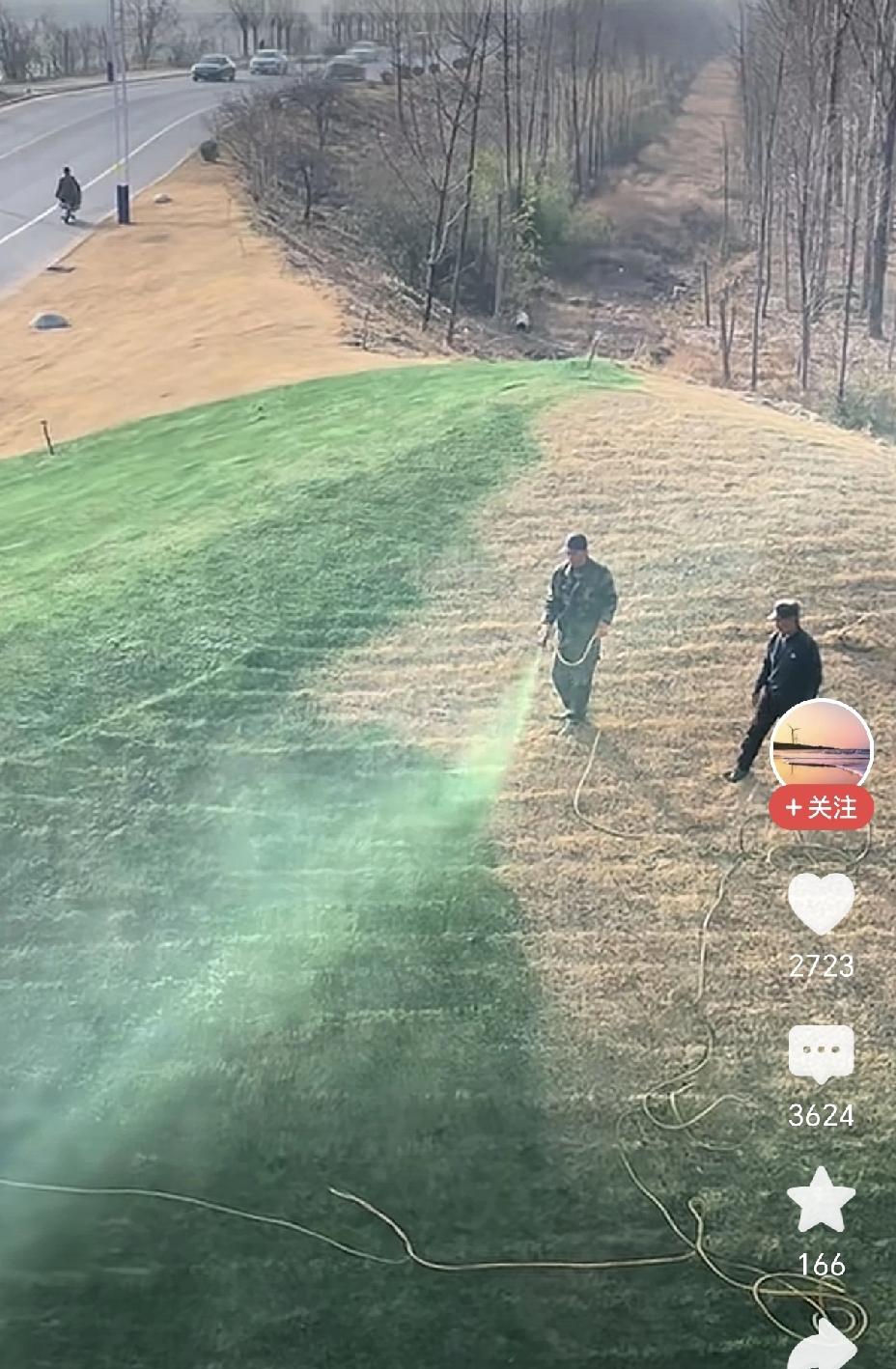 可悲哇，平地只要喷下就变成了草坪，是不是很神奇？