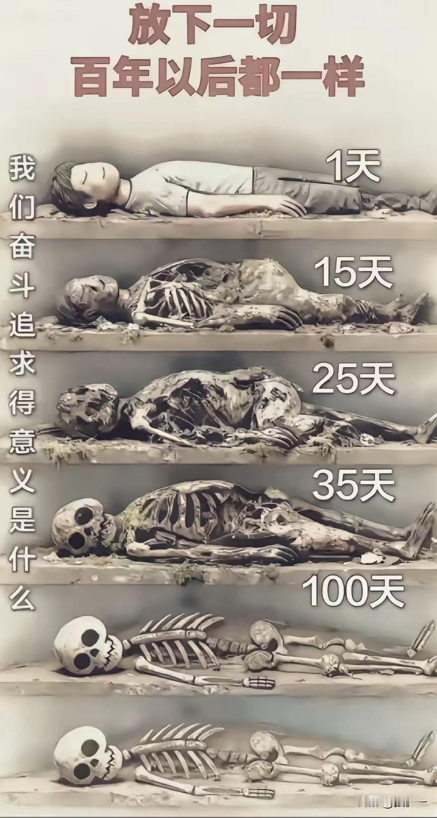 我原来想的入土以后最起码需要一年的时间才能成为一具白骨！看了这个图才知道，也