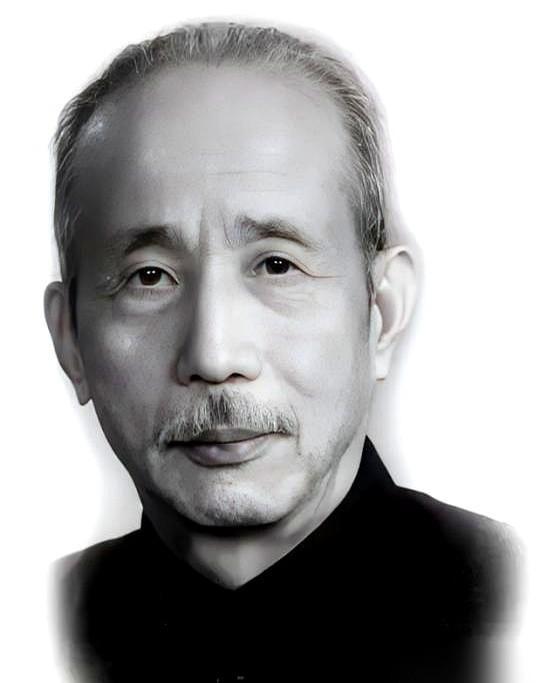 “当家的，说是生了双胞胎。”就这一句话，马家军的枪托子几乎戳到了王学文的脸上。