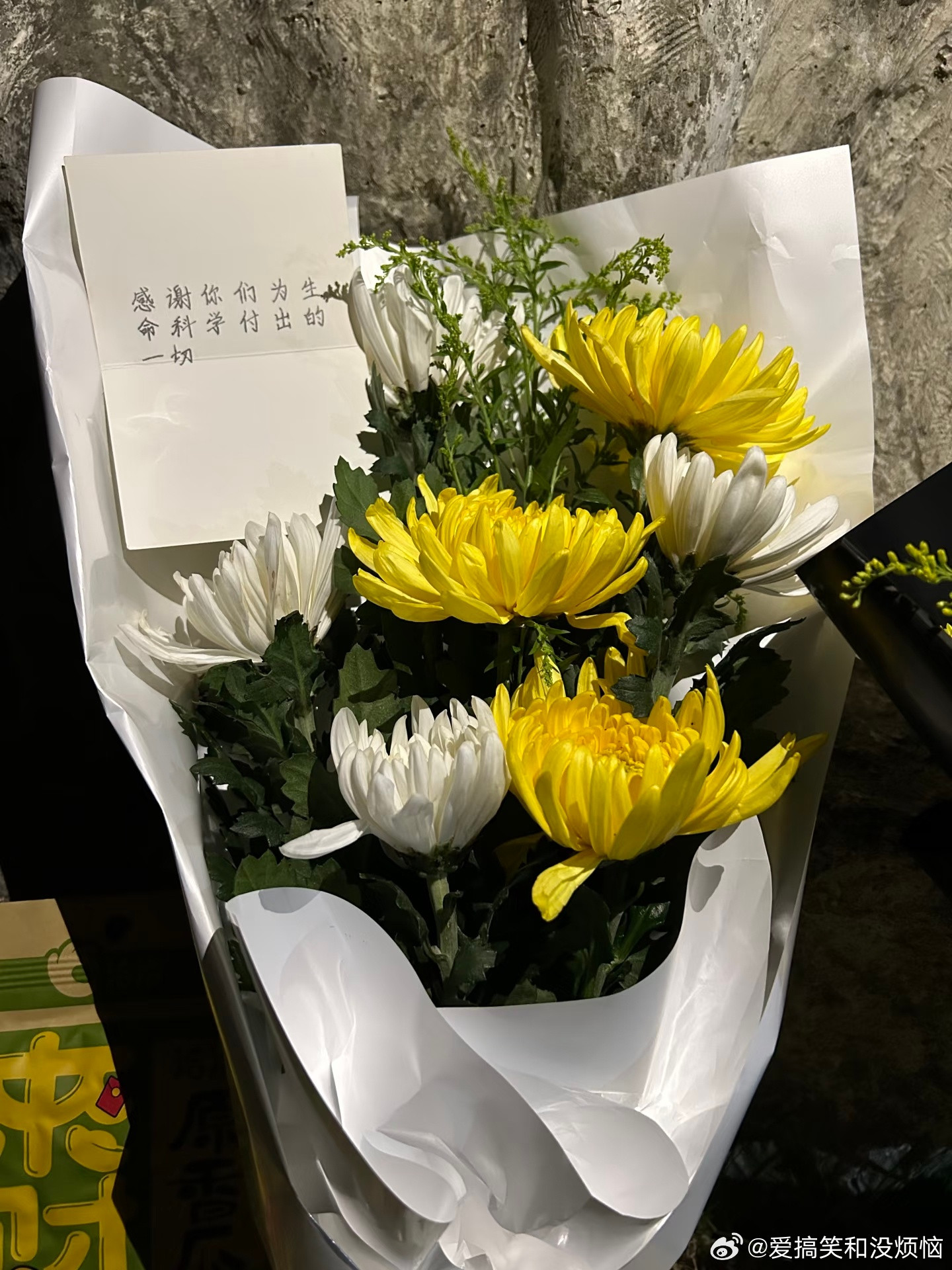 清明节祭拜了实验小鼠