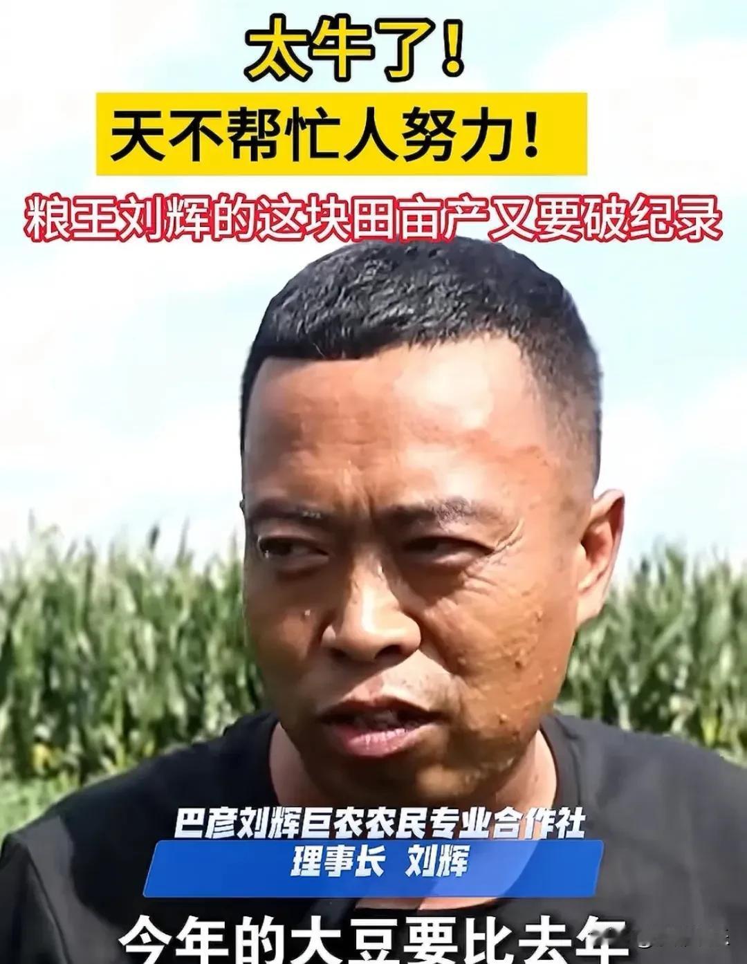 这次黑龙江“土地王”刘辉赚大了，大豆每垧有望突破9000斤！金秋九月，黑
