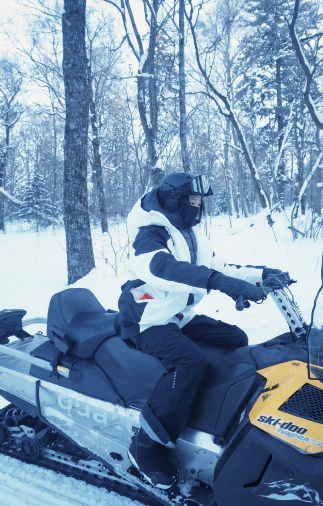 关晓彤胆小小怂实锤了但萌是真的萌摔是真的会摔哈哈哈哈！