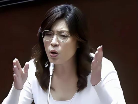台湾蓝营终于摊牌了！ 郑丽文直接公开表明态度，不接受一国两制。 过去这么
