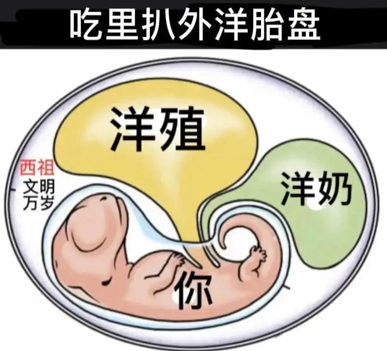 网上对大殖子的描述真形象啊