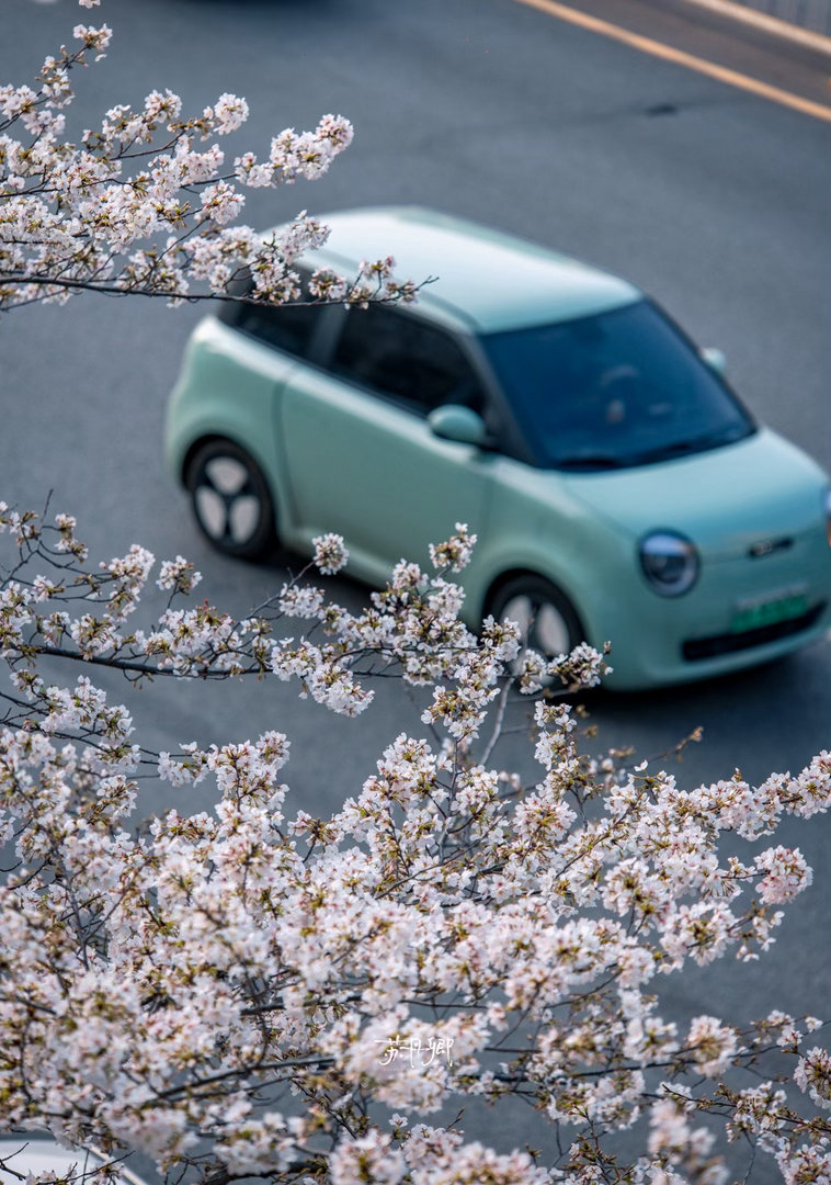 来武汉🌸怎么可以错过“武汉最美公交站”呢？📍珞瑜东路大黄村公交站选乘一趟合