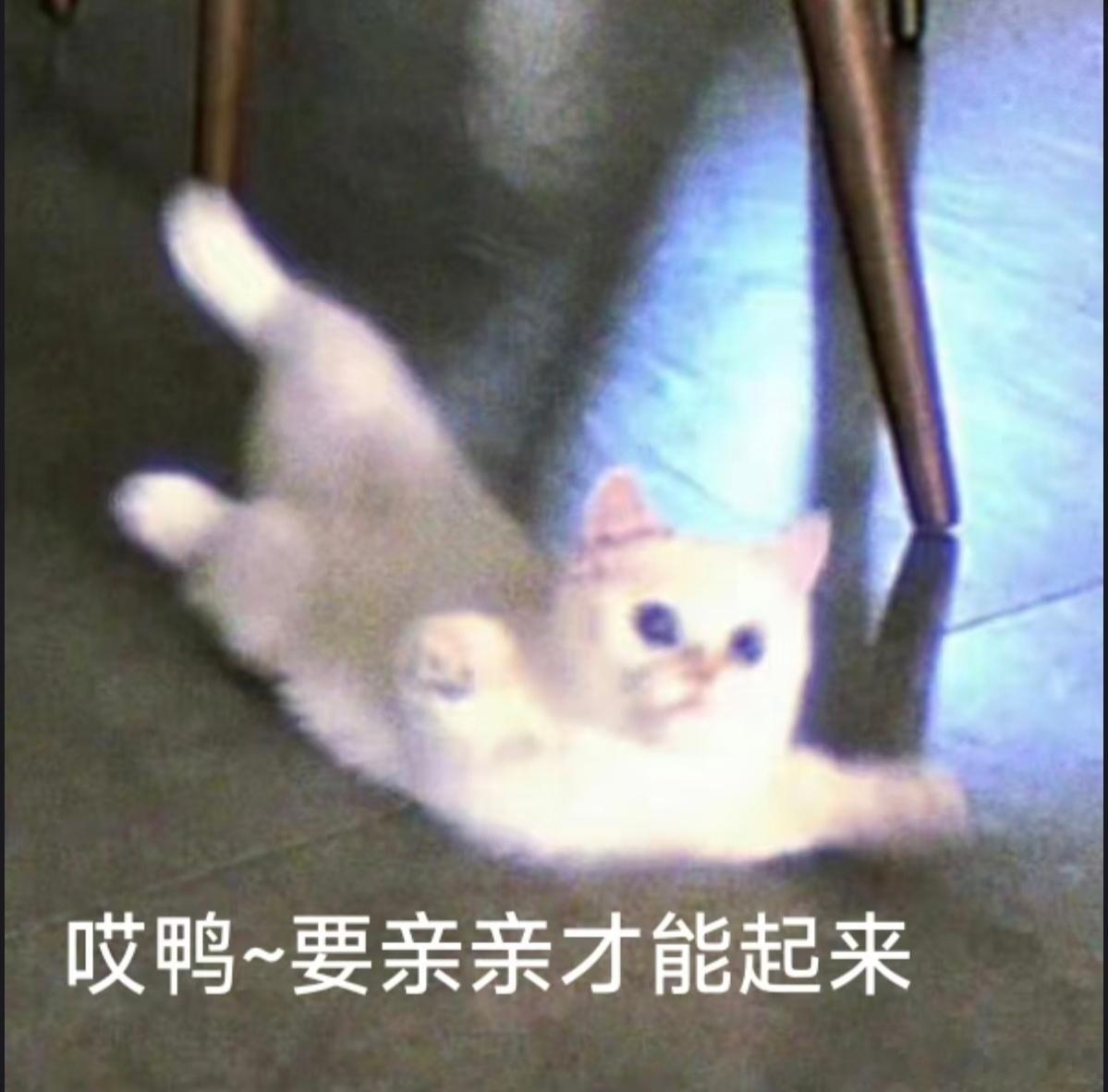 我一边吃小蛋糕，一边问姐姐，姐姐~你打算什么时候再更喜欢我一点呀~姐姐低头看文件，头也不抬：那就明天