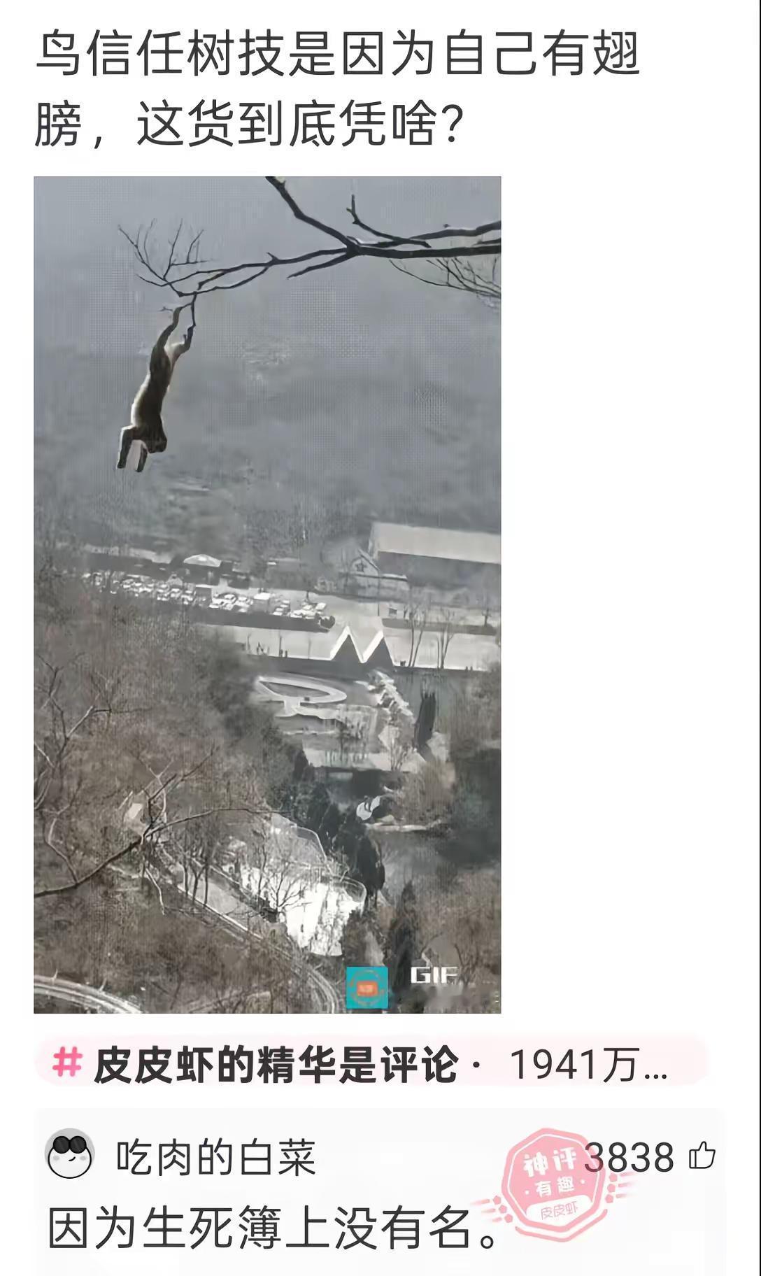 每天带亲们乐一乐神评论神回复搞笑笑肚子疼