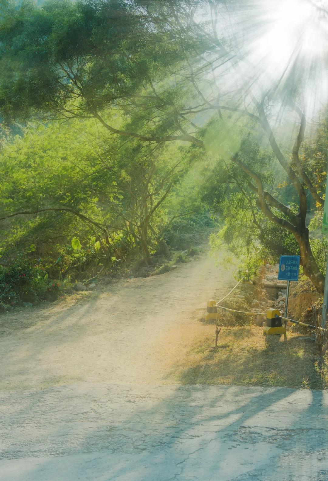 深圳小众公园，郊野徒步3小时！藏在罗湖草埔附近的郊野公园，对喜欢户外徒步的朋