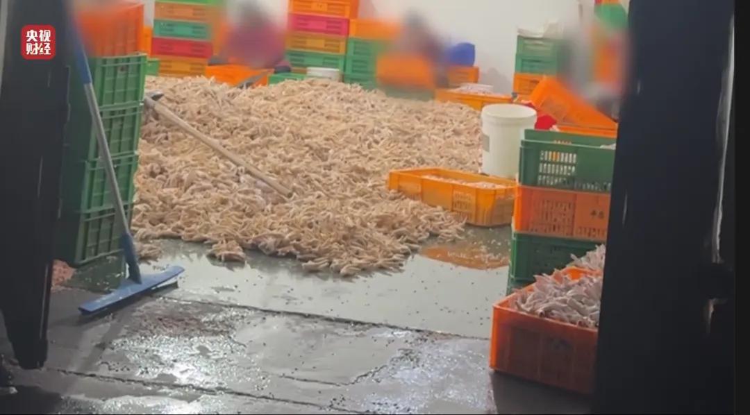 315再爆猛料！代步车、AI搜索、荐股，这些隐形陷阱更难防315曝光的骗局不