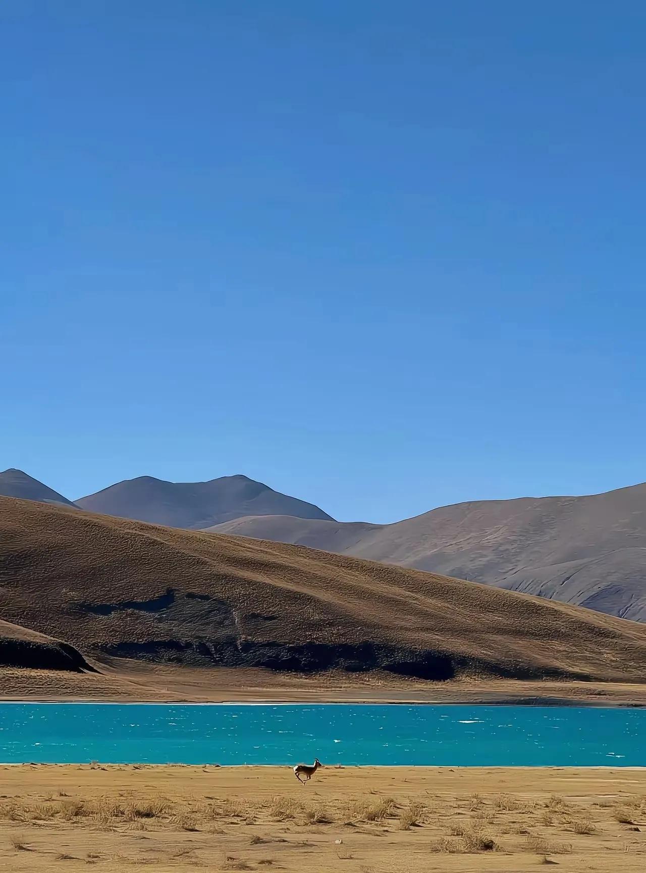 成年人之间的交往总是有图谋的。男人和男人之间的交往是为了求财，男人和女人之间的交