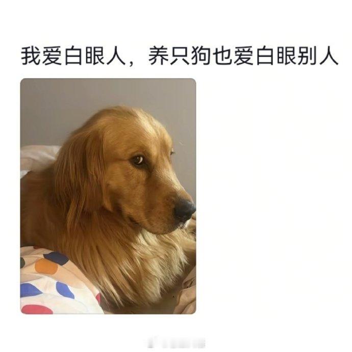 怪不得都说谁养的像谁