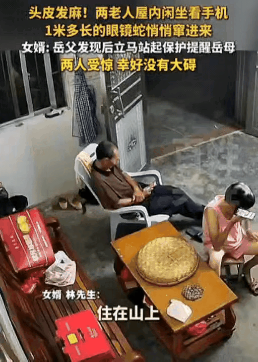 头皮发麻！广东一老人在屋里玩手机，突然感觉身后有动静，他以为是老鼠，结果回头一看