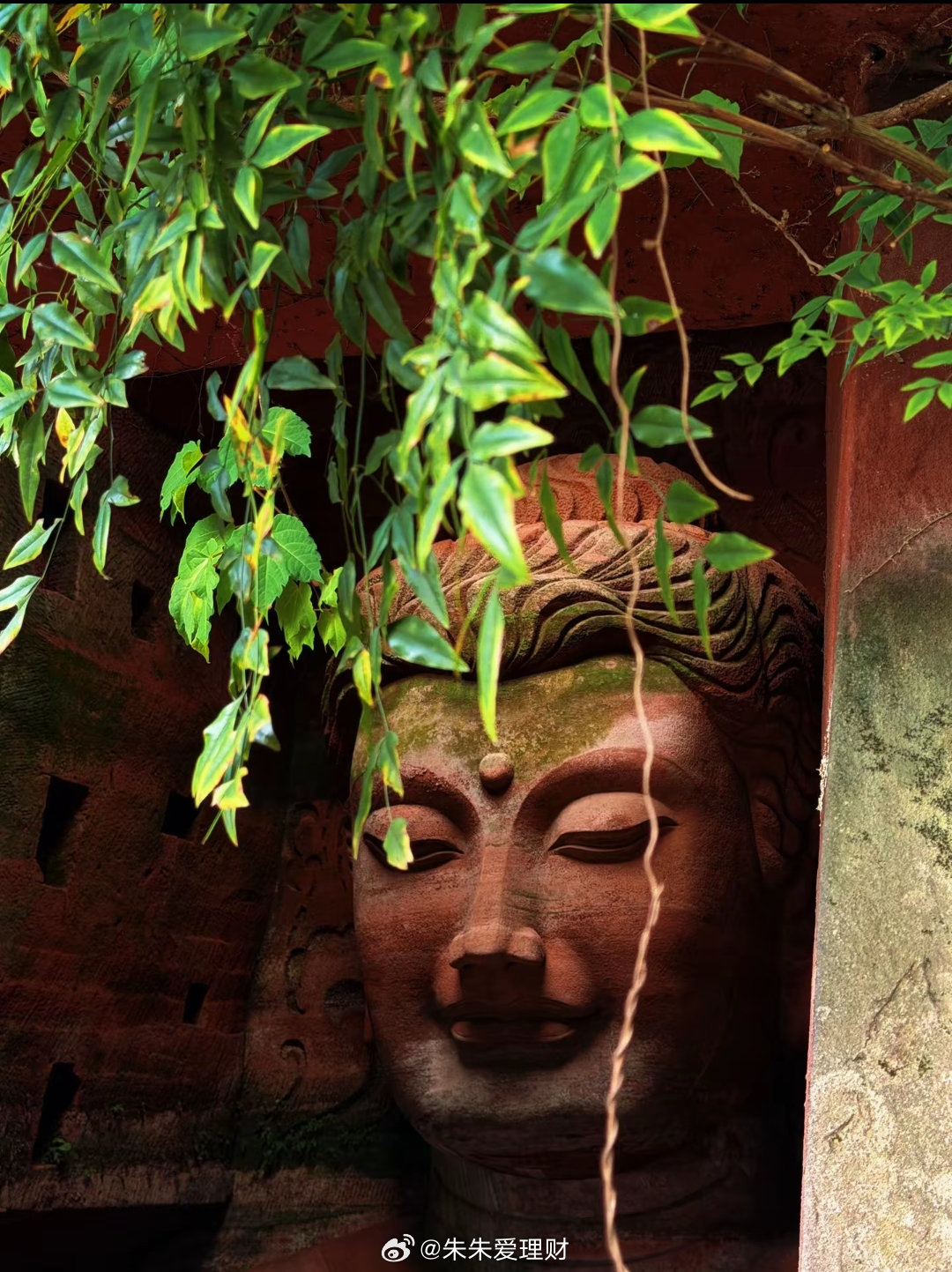 今天大跌的原因找到了。完全意料之外的，原因一，今天不仅是我们市场在跌，我们周围的