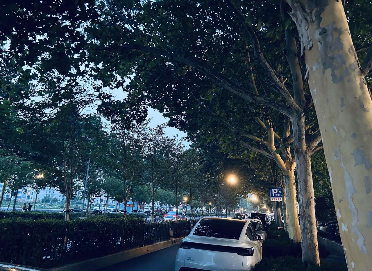 真正段位高的大佬，阅人无数，深谙人性，一眼就能看穿人心机和套路。那些看起来精明世