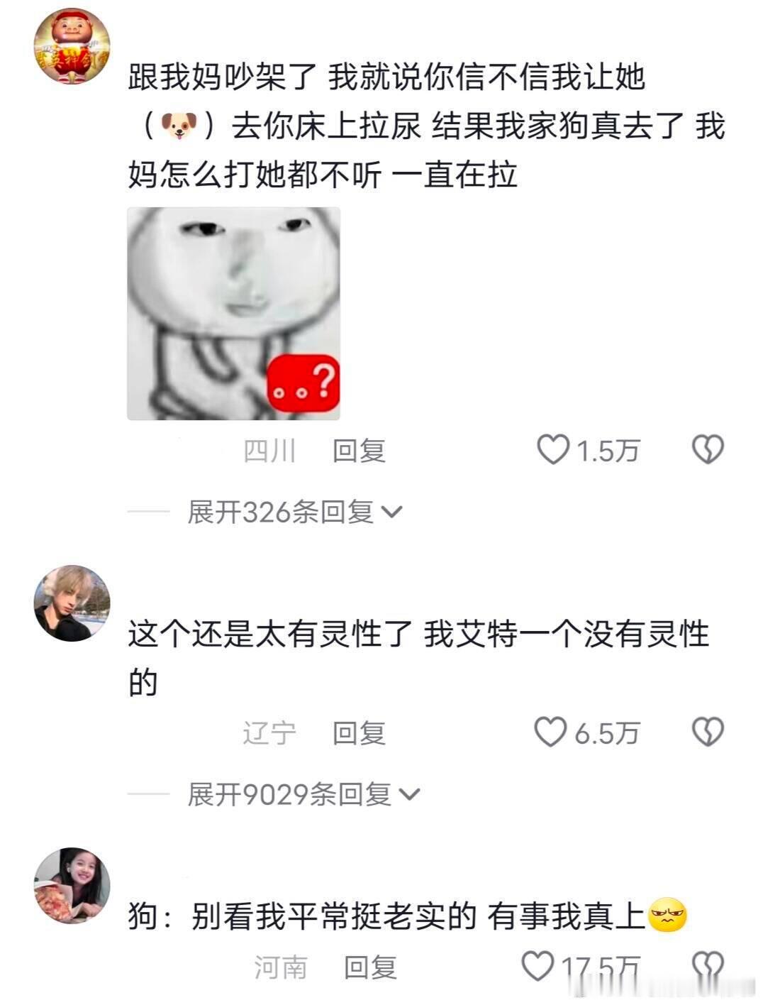 那很有实力了！这种狗才配和我玩