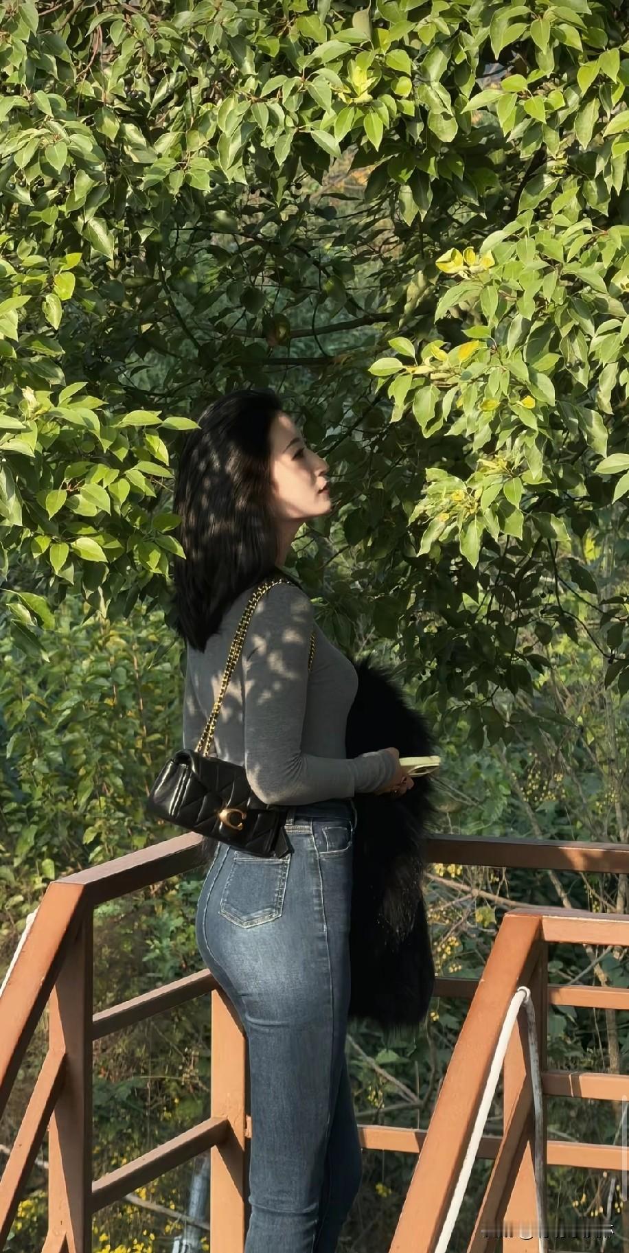 冬日漫步，绿意盎然，享受自然之美。