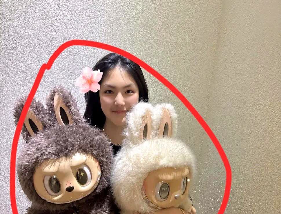 我不羡慕林峰老婆晒我不羡慕杜淳老婆晒我最羡慕的是李湘女儿晒Lab