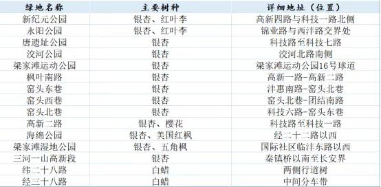 “落叶缓扫”！西安高新区15处点位，等你来打卡....你去过几处？秋意正浓，