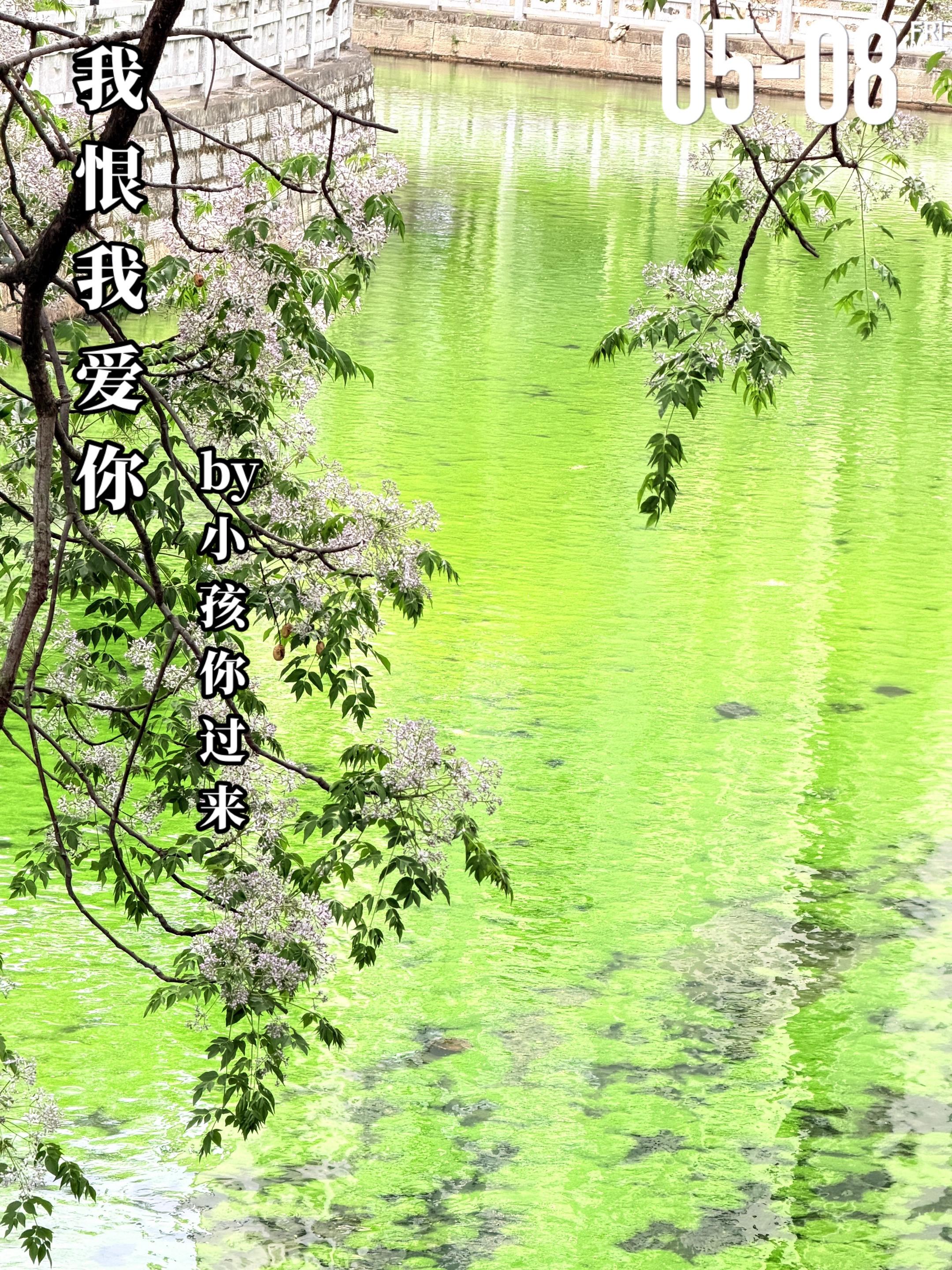 《我恨我爱你》by小孩你过来。邢育（女主）是烈士遗孤，十五岁时被邢凯...