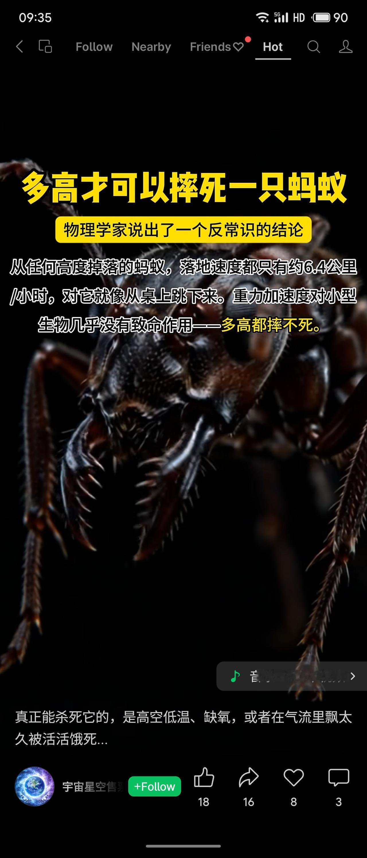 物理学家指出，蚂蚁从任何高度落下，落地速度仅约6.4公里/小时，如同从桌上跳下，