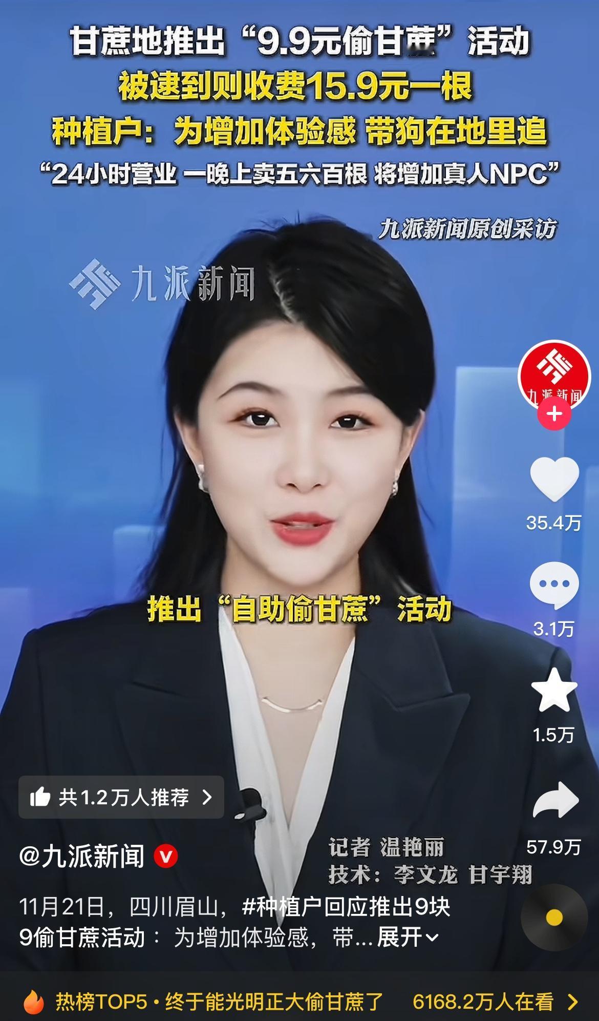 “偷甘蔗还要收费？四川眉山这波操作绝了！9.9元让你光明正大‘偷’，被逮到就